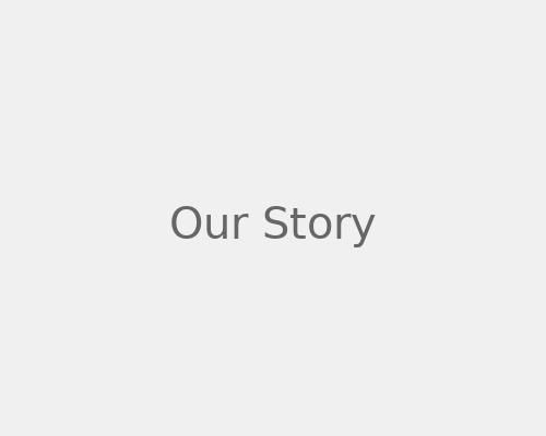 Історія ParithWeb Studio